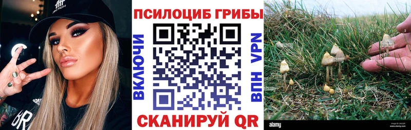 Галлюциногенные грибы Cubensis Кодинск